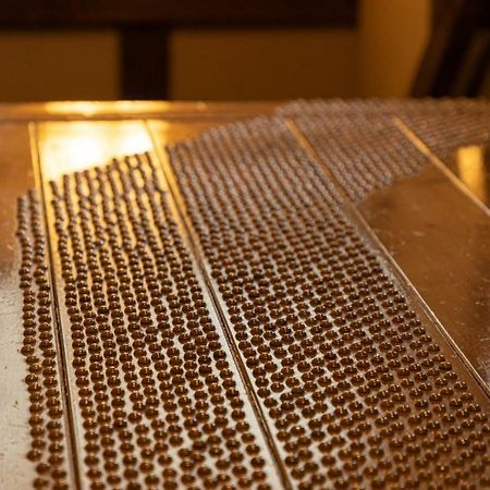 Ryokan Nanjoen Minamioguni Dış mekan fotoğraf
